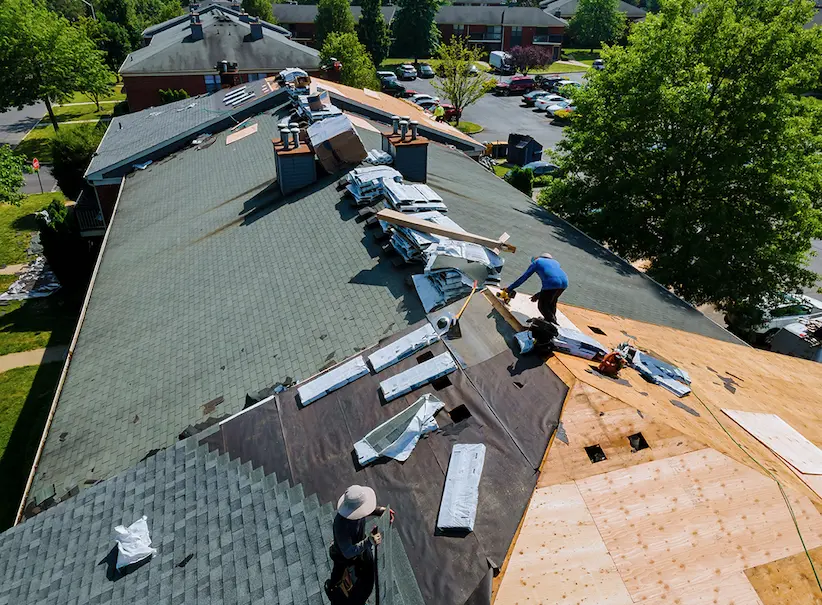 Tips for Maintaining Your Shingle Roof