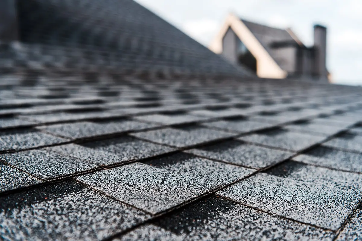 Trends in Shingle Roofing