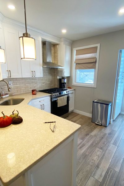 Kitchen renovation in Forest Hill